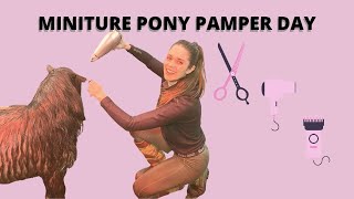 PAMPER DAY FOR MY SASSY MINIATURE PONY