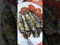 SARDINAS NOCTURNAS