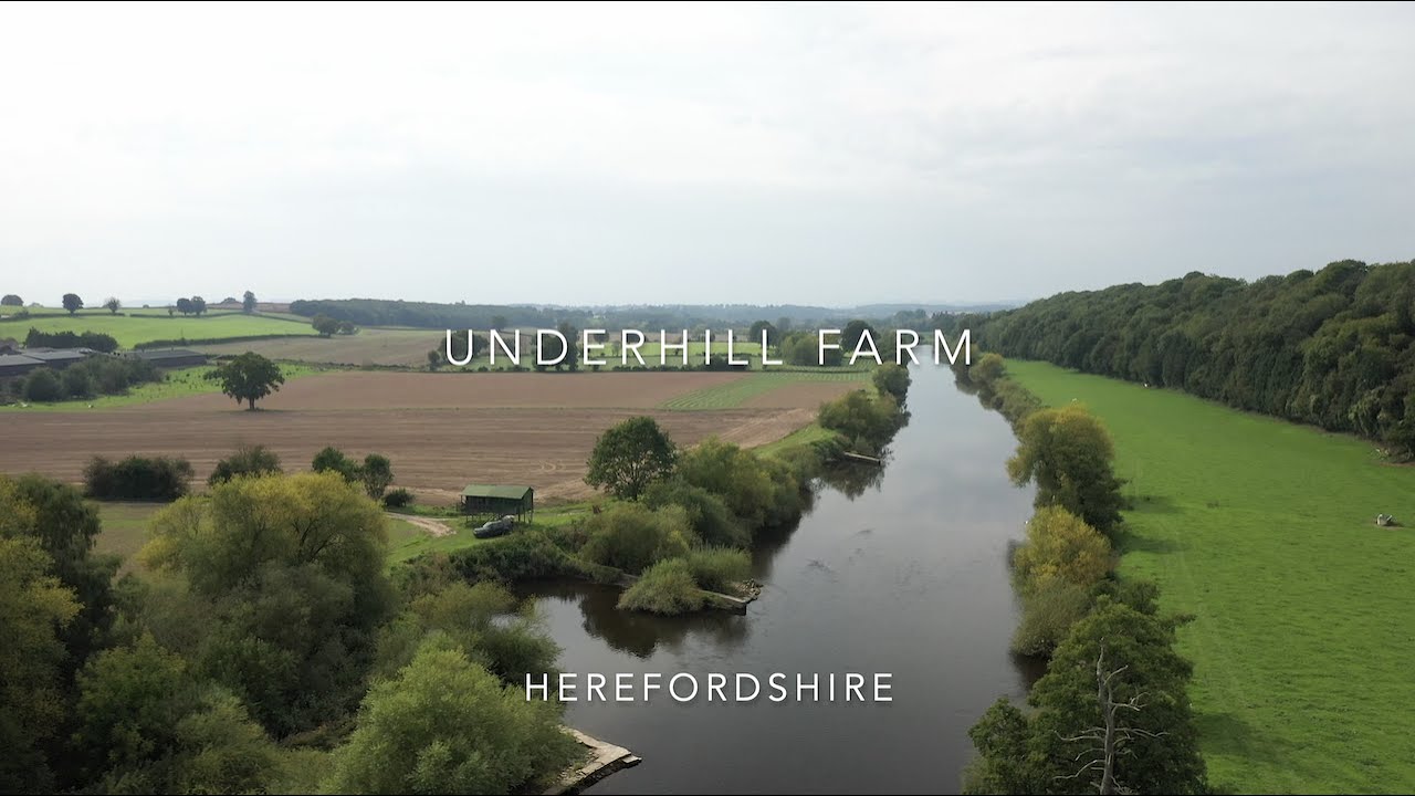 Underhill Farm Fishery YouTube