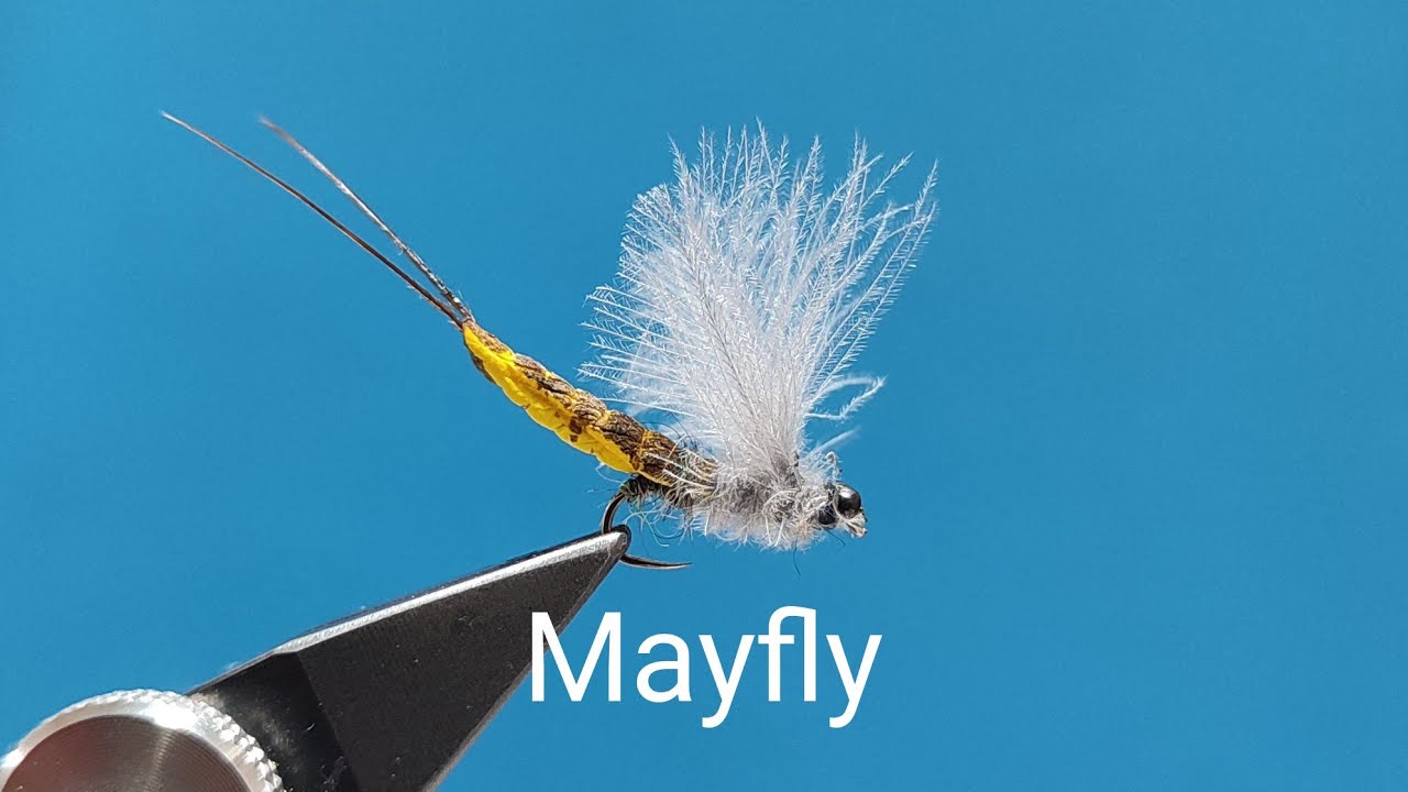 Fly Tying - Mayfly - YouTube