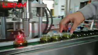 Fully Automatic Single Head Ointment/Hair Wax/Vaseline/Cream Hot Filling Machine with Mixer Heater