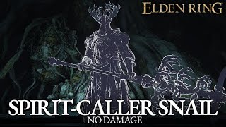 Spirit-Caller Snail Boss Fight (No Damage) [Elden Ring]