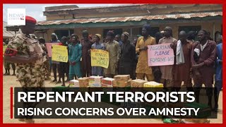 Rising Concerns Over Amnesty for Borno's Repentant Terrorists