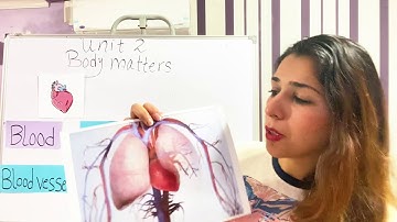 Connect Plus primary 3 unit 2 part 2 | English with Dalia