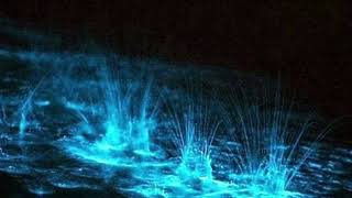Sabi - Luminous Tide