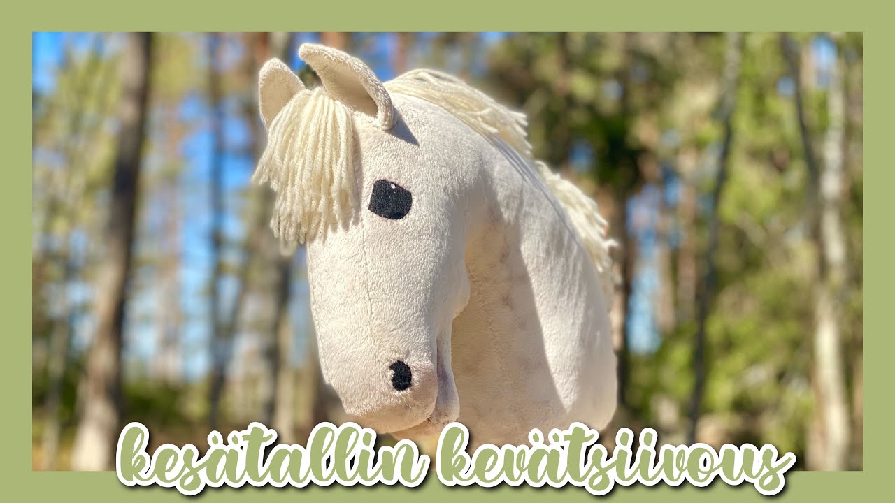 Hiiriongelmia Ja Siivoilua 🐁🧹