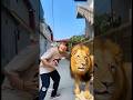 Thanh niên lên cơn phẫu thuật thẩm mỹ thành sư tử và cái kết #shortvideo #funny