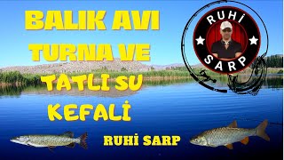 TURNA AVI VE TATLI SU KEFALİ AVI