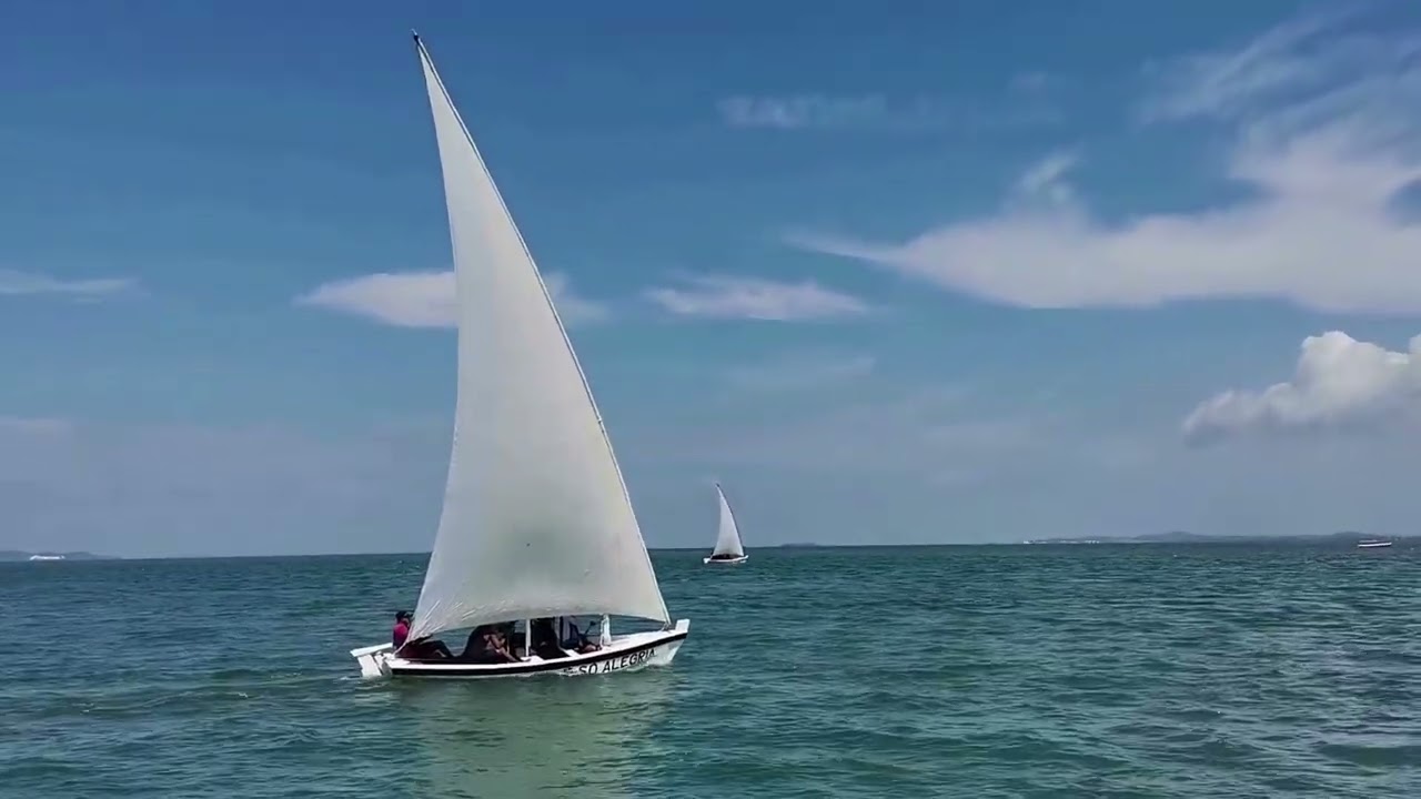 7ª REGATA TEMPORADA 2025/2026 #pesca