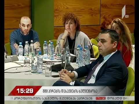 „კონსტიტუციის 42-ე მუხლის“ ანგარიში