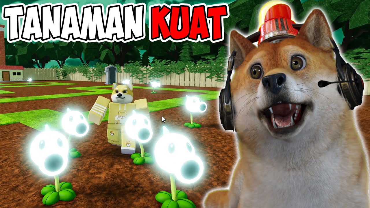 OBIT BELI TANAMAN SUPER KUAT UNTUK MENGALAHKAN ZOMBIE! - Roblox Plant Vs Zombie #2
