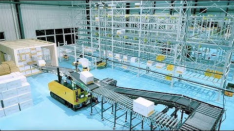 Case Picking Solution - Asian Elephant Connects with AGV and Gecko System   - BlueSword