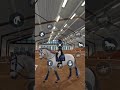 #horse #horses #starstable #show #sound #edit #subscribe #new #short #pferd #pferde #cute #love #sso
