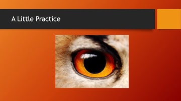 Discrete Continuous Numeric and Categorical Data