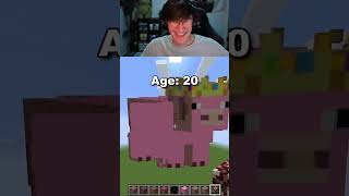 Minecraft Pig Pixel Arts at Different Ages 🐷😳
