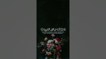 القارئ أحمد النفيس ولدار الأخرة خيرٌ للذين اتقوا