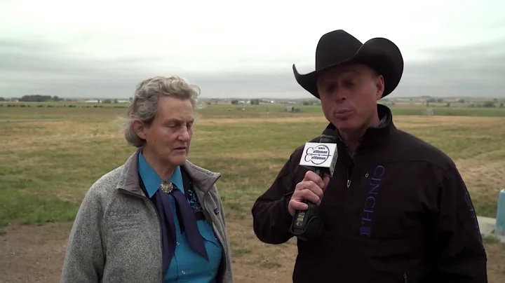 Talking Cattle Handling with Temple Grandin