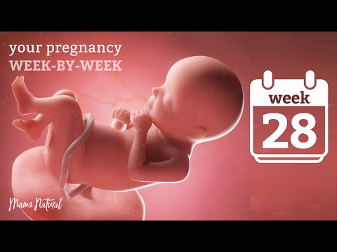 וִידֵאוֹ: 28 שבועות להריון: תחושות, התפתחות עוברית