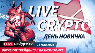 Крипта для начинающих. Обучение новичков торговле криптовалют с нуля | Crypto Live TV