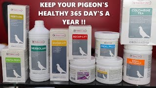 IMPORTED PIGEON PRODUCTS FOR PIGEON HEALTH . कबूतर के लिए हेल्थ प्रोडक्ट्स | 8882859215