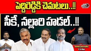 Big Shock To Peddi Reddy Ramachandra Reddy | Punganur | EVM | CK Babu | AP Elections 2024 |Wild Wolf