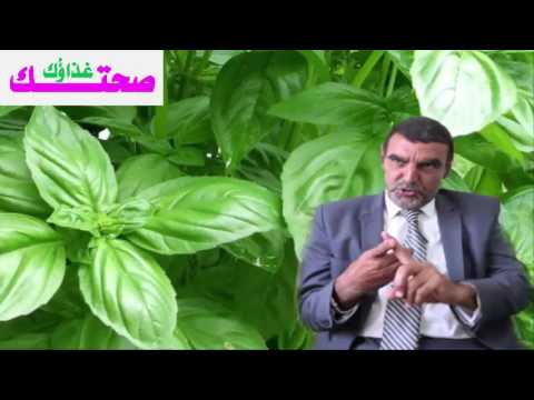 الدكتور محمد الفايد | فوائد الريحان العجيبة و المغبو ن فيها أغلب الناس