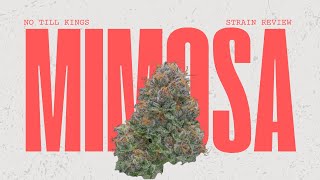 The sativa that defied my expectations. (Mimosa Review)