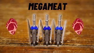 G5 Outdoors Megameat Broadhead Indepth Review and Analysis Lethality Test