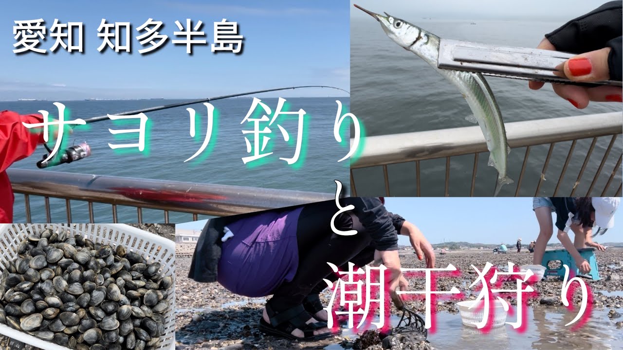 【釣り女子】サヨリ釣りと潮干狩り/採れたての貝と魚で晩酌！愛知県知多半島 新舞子マリンパーク