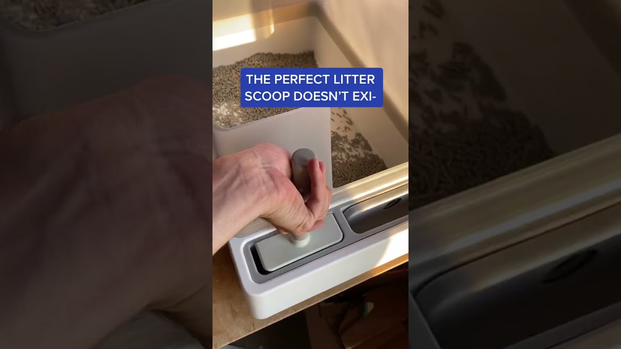 The BEST Litter Box Scoop??