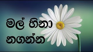 Vignette de la vidéo "Mal Hina Naganna karaoke (without voice) - මල් හිනා නගන්න සුසුදු ආදරේ"