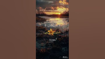 Surah Yunus Ayat 61 Urdu Translation | سورة يونس آیت 61  #islamicvideo #surahyounus