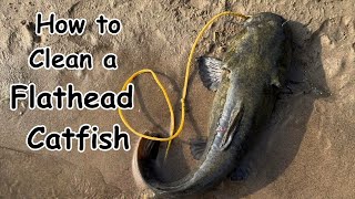 How to Clean a Flathead Catfish with No Waste | Start to Finish POV