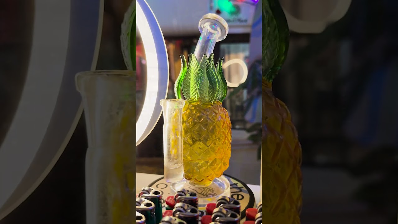 Flashback to Cannabis Cup at High Notes in Nashville, TN Who's ready for next year 🚌💨💙💚✨ 