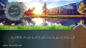 أروع تلاوة لآيات من سورة الرحمن بصوت سفير القرآن الشيخ عبدالباسط عبدالصمد