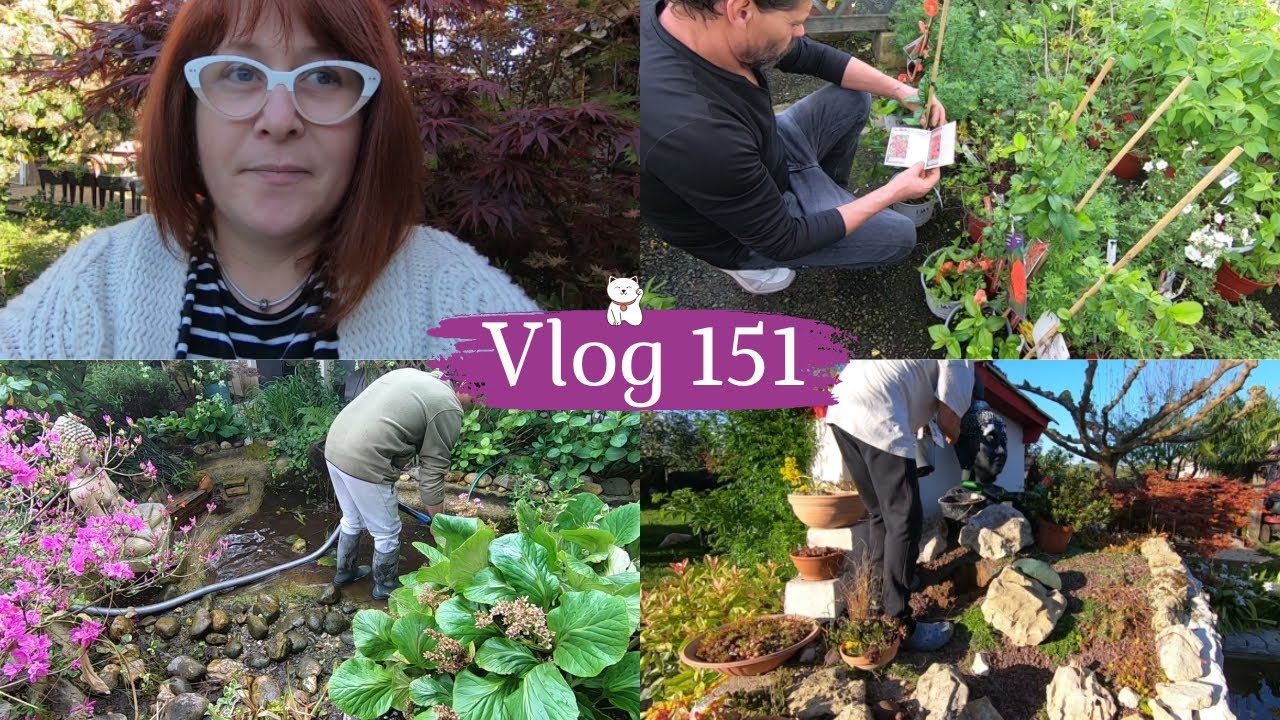 VLOG 151🌿Des ACHATS pour le JARDIN | On nettoie le petit BASSIN | Du nouveau au potager 😉