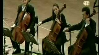The 12 Cellists of the Berliner Philharmoniker-Mas que nada &amp; Pink Panther