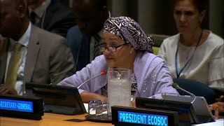 "Since 2015 progress has been made across the number of SDGs" - Deputy Secretary-General
