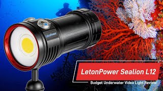 Testing the LetonPower Sealion L12. Is it the new king of BUDGET underwater video lights?