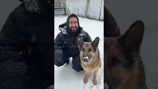 Dogs Bring So Much Color Into Our S 💙 Resimi