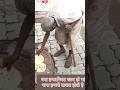 #video बाप भूख के कार्ड कितना तड़पता है 🔥😭🔥#shortsfeed #shots #youtubeshorts #viral