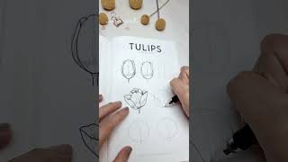 How 2 draw TULIPS