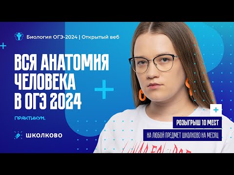 Вся анатомия человека в ОГЭ 2024. Практикум + Розыгрыш🎁