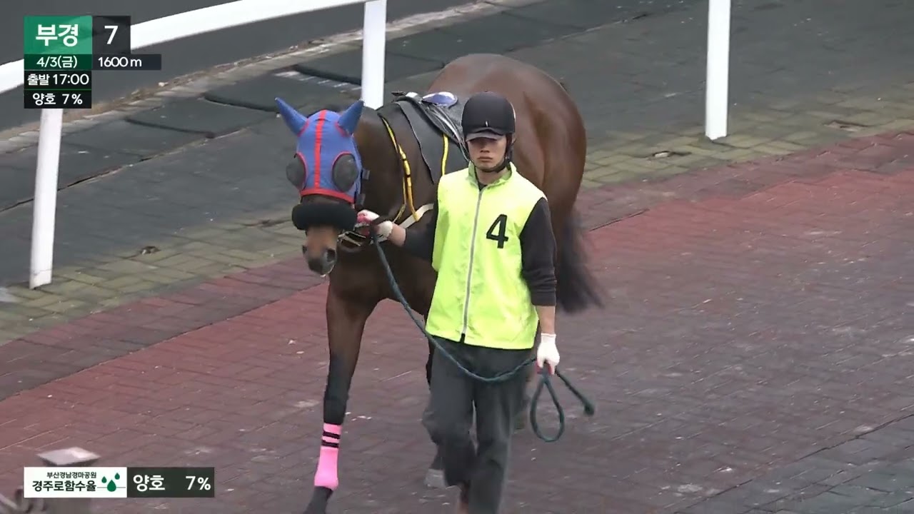 (예시/부경) 2026.04.03 7경주