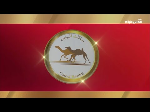 ش12 فدوى ل أحمد عبيد بن غنام المزروعي الوثبة الأسبوع السادس 14 12 2025 حيل مهجنات إنتاج 9 27 27