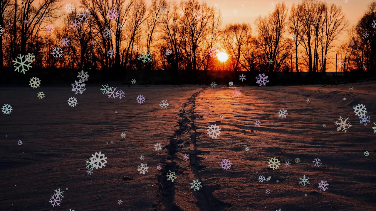 ❄️ Icy Silence 🎹 Minimalist Winter Piano 🏔️ Clear Mind Ambient for Focus