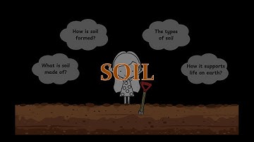 Soil | Nature