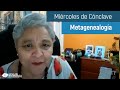 Metagenealogía 🔴 LIVE // #MiércolesDeCónclave con Mary Cardona