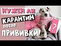 СОБАКА ПОСЛЕ ПРИВИВКИ. Можно ли ГУЛЯТЬ и МЫТЬ собаку. Что МОЖНО и НЕЛЬЗЯ собакам после вакцинации