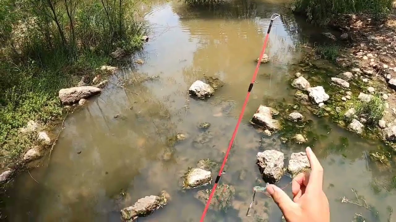 20 Min. of Raw UNEDITED Bass Fishing local River